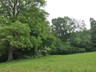 buechholdere (1)