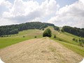 hohliebi 2