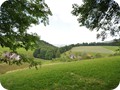 laube 2