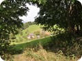 laube 3