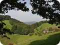laube 4